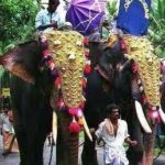 onam-elephantsV2